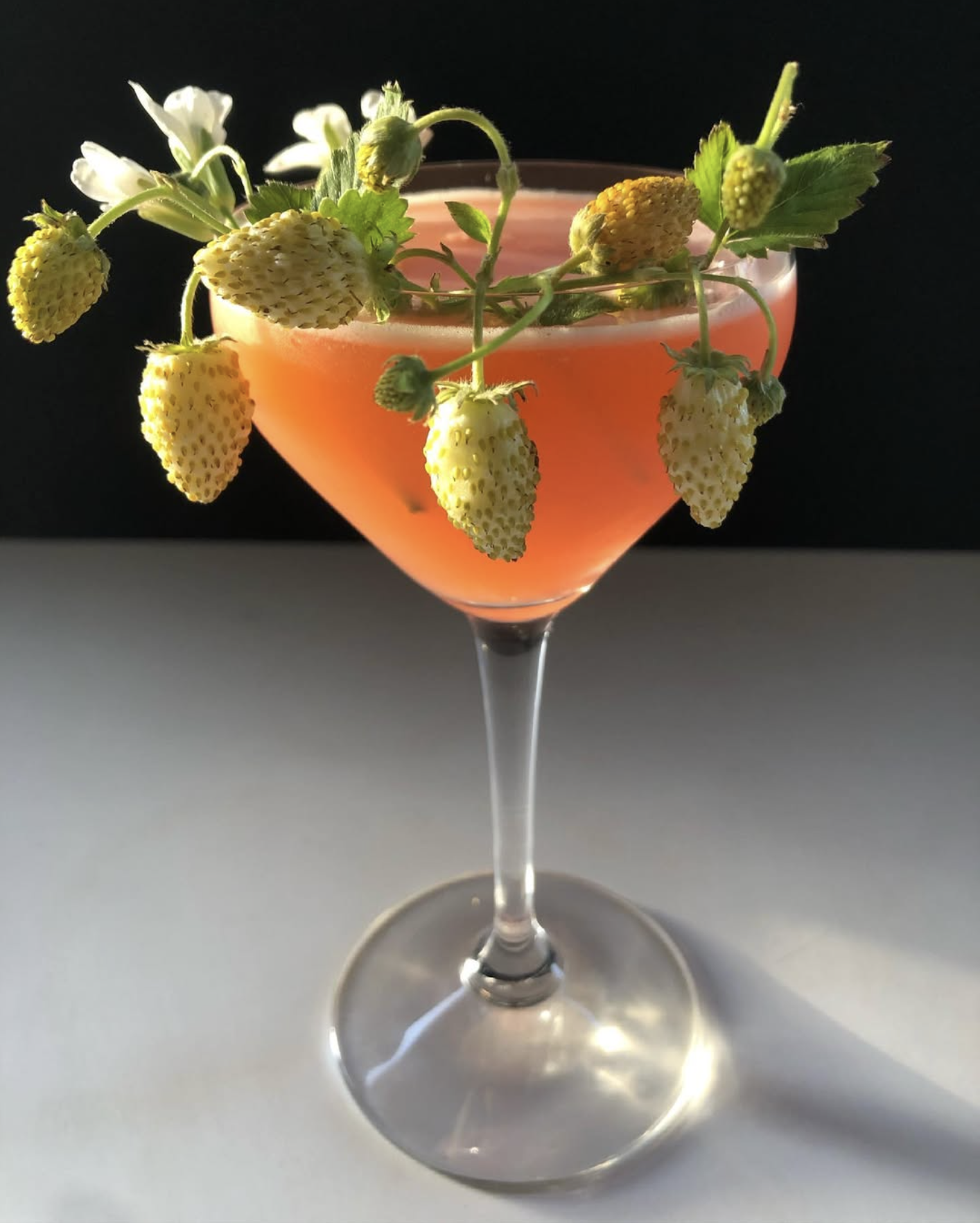 Cocktail 4